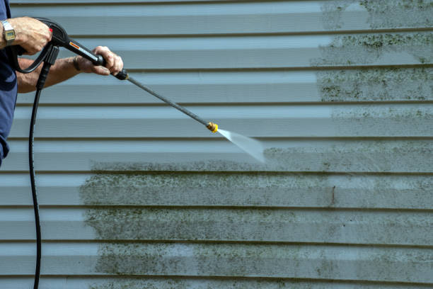 Best Roof Washing  in East Chicago, IN